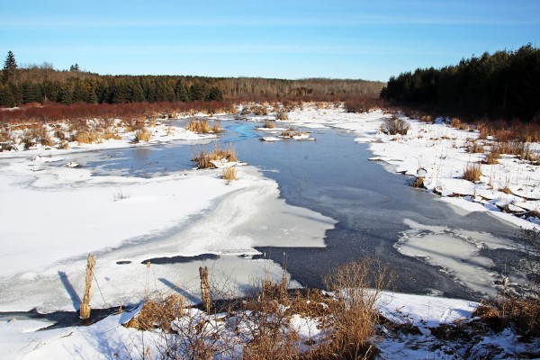 January Roadside Pond by Deb Oppermann